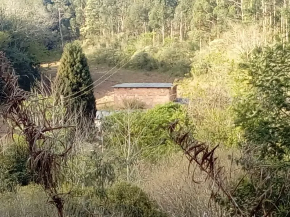 Sítio, 1 quarto, 3 hectares - Foto 8