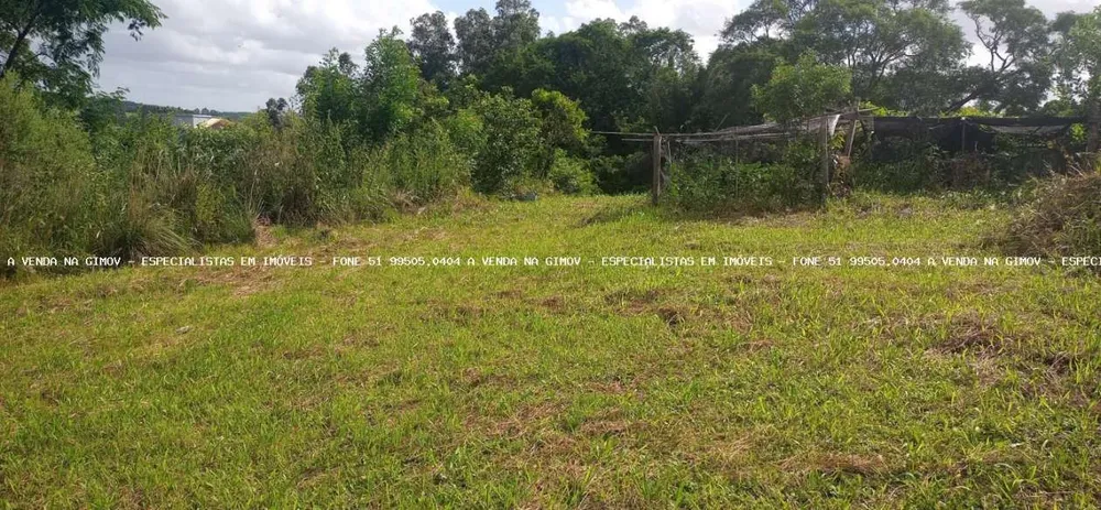 Terreno, 350 m² - Foto 3