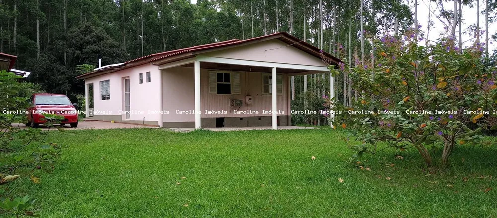 Fazenda, 42 hectares - Foto 4