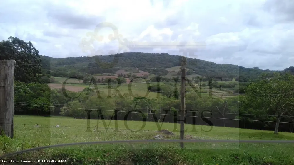 Sítio, 21 hectares - Foto 1