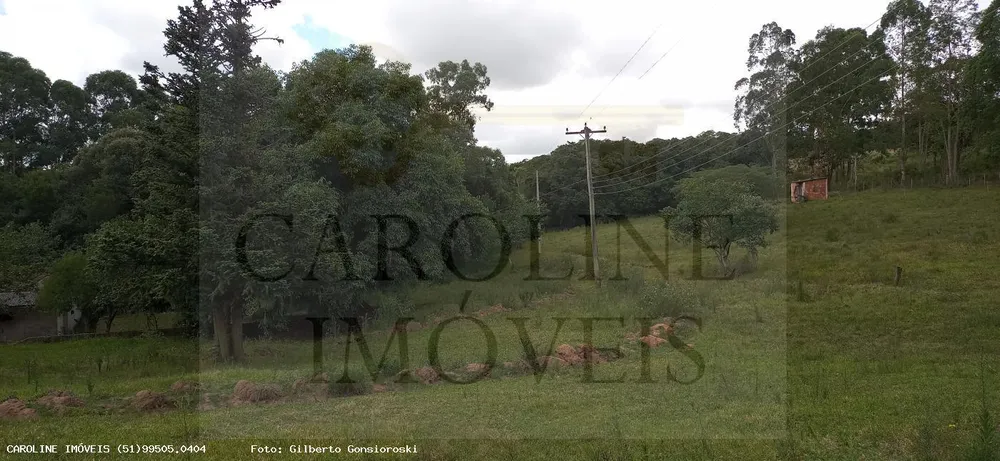 Fazenda, 21 hectares - Foto 4