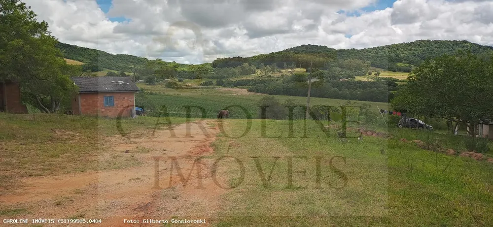 Sítio, 21 hectares - Foto 2