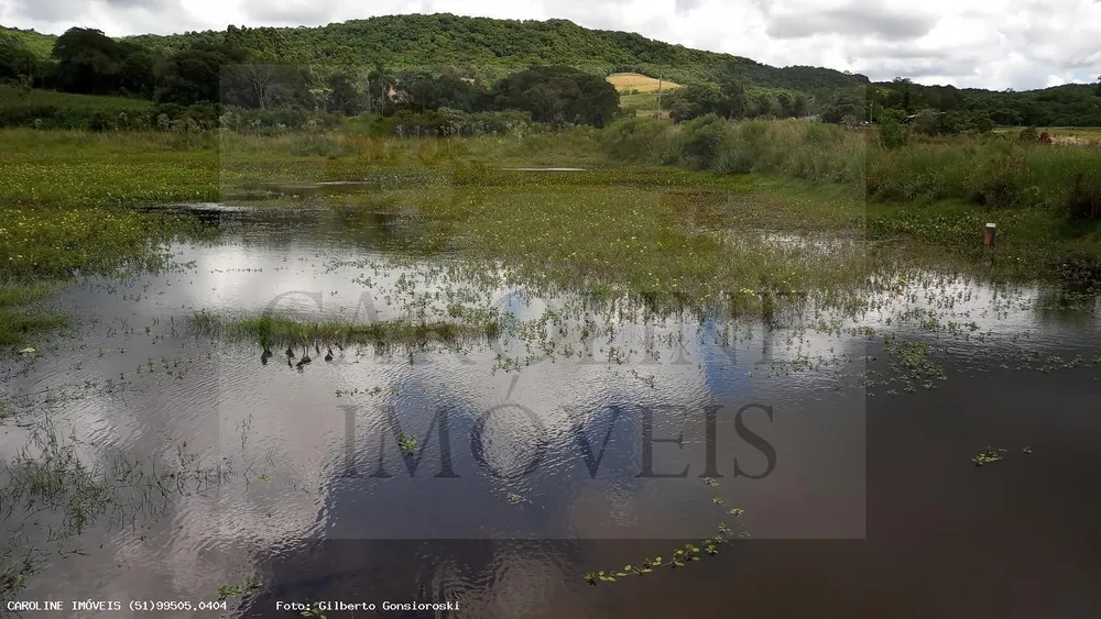 Fazenda, 21 hectares - Foto 1