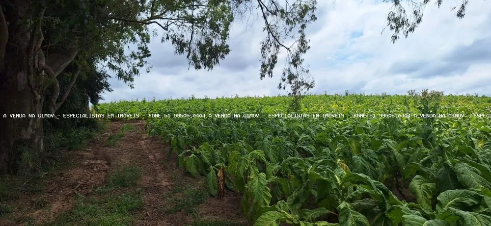Loteamento e Condomínio, 12 hectares - Foto 3