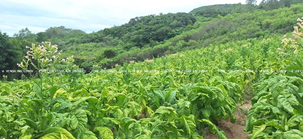 Loteamento e Condomínio, 12 hectares - Foto 4