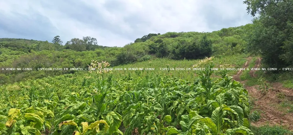 Loteamento e Condomínio, 12 hectares - Foto 8