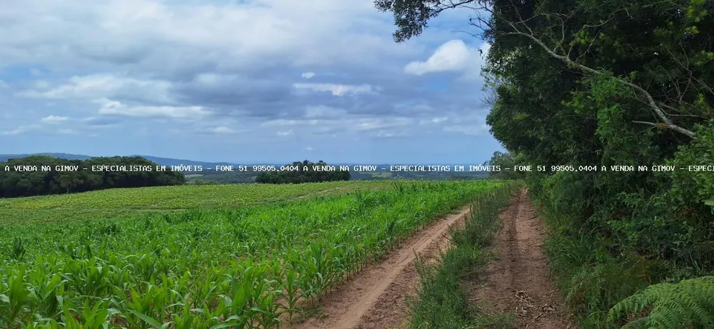 Loteamento e Condomínio, 12 hectares - Foto 1