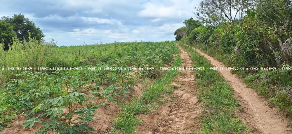 Loteamento e Condomínio, 12 hectares - Foto 7