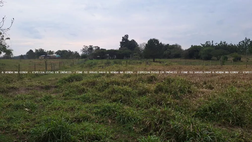 Chácara, 2 quartos, 6790 m² - Foto 4