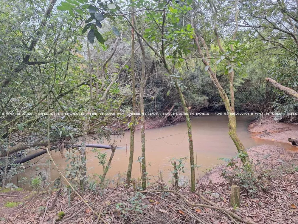 Chácara, 2 quartos, 6790 m² - Foto 8