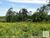 Loteamento e Condomínio, 32 hectares - Foto 2