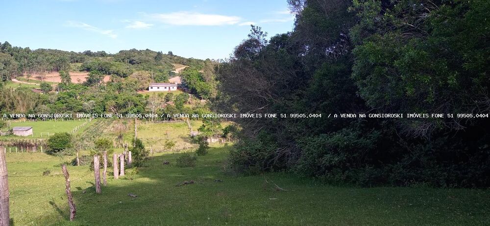 Sítio à venda, 20000m² - Foto 8