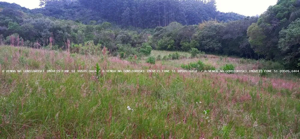 Loteamento e Condomínio, 5000 m² - Foto 5