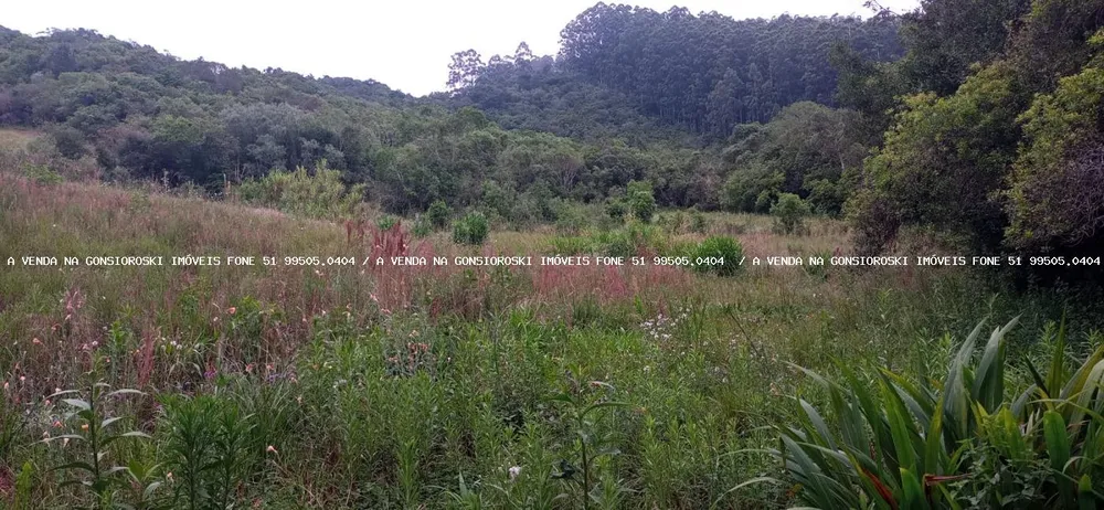 Loteamento e Condomínio, 5000 m² - Foto 3