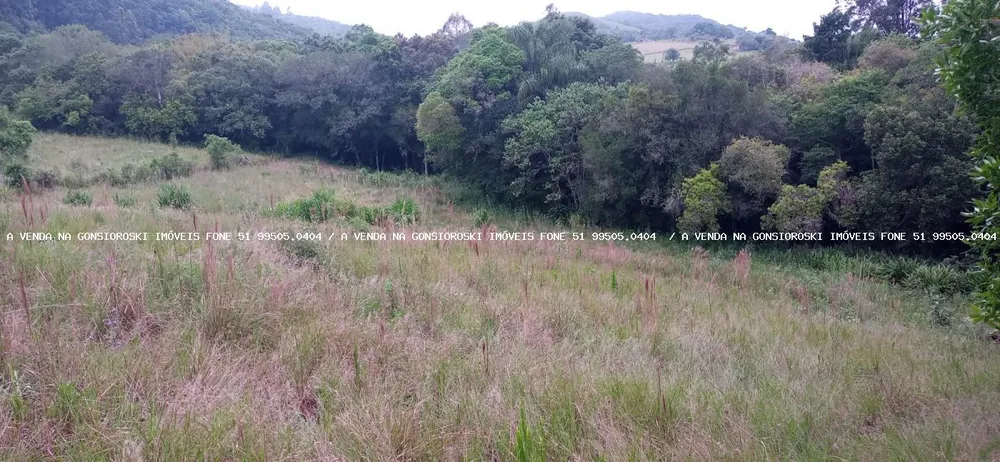Loteamento e Condomínio, 5000 m² - Foto 4
