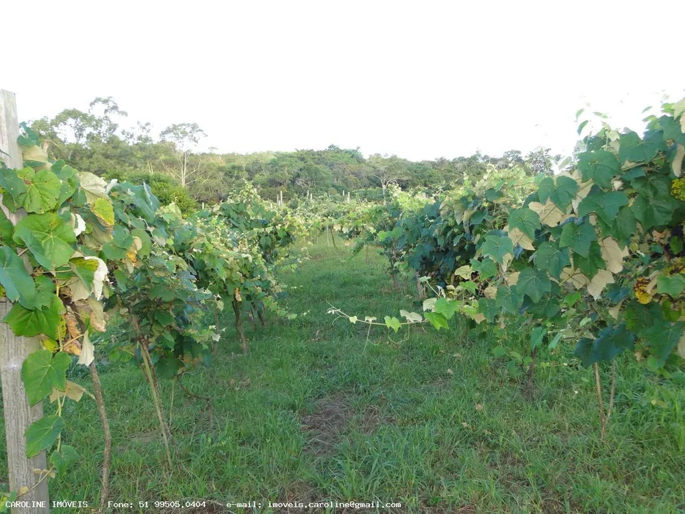 Sítio, 4 quartos, 18 hectares - Foto 9