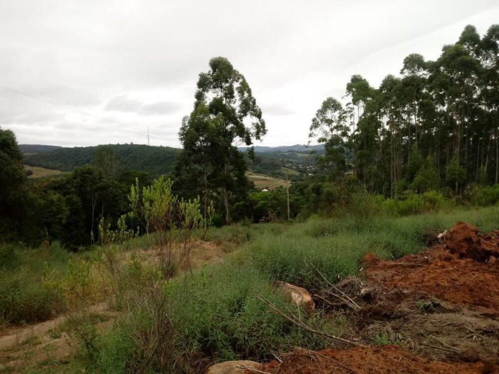 Chácara, 5000 m² - Foto 3