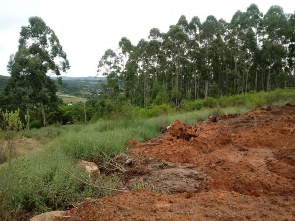 Chácara, 5000 m² - Foto 2
