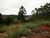 Chácara, 5000 m² - Foto 3