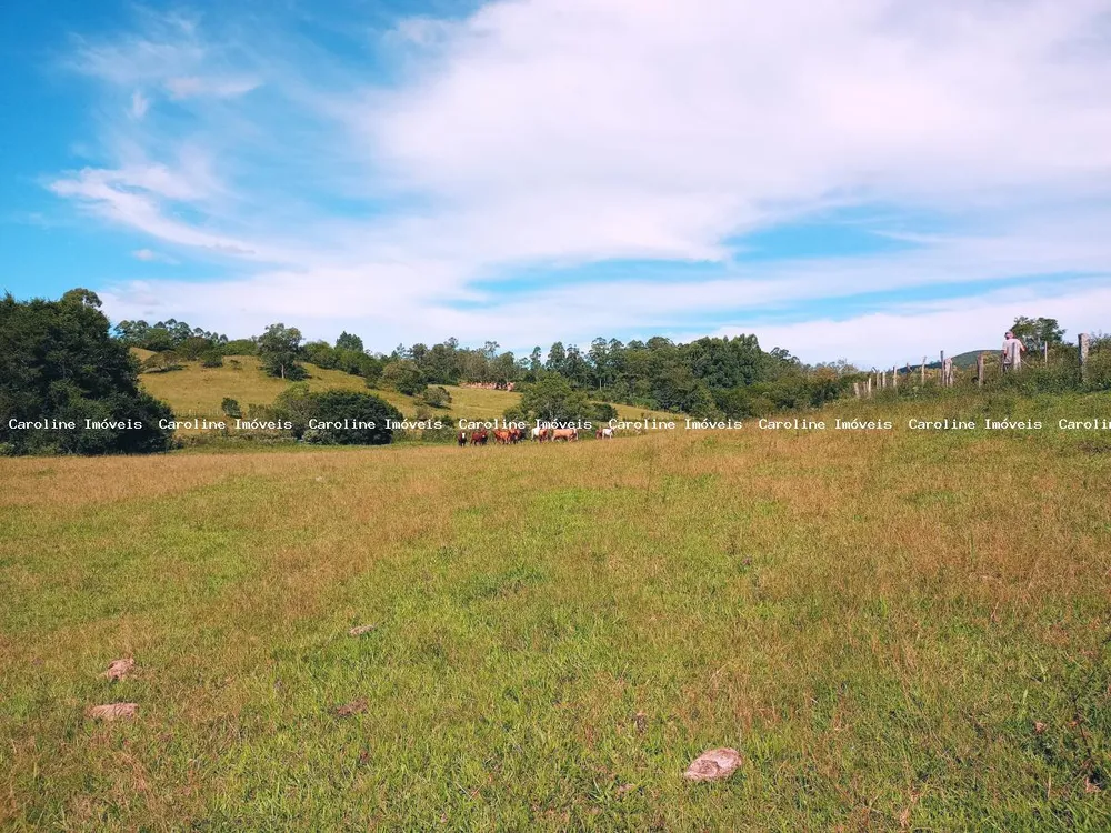 Fazenda, 63 hectares - Foto 4