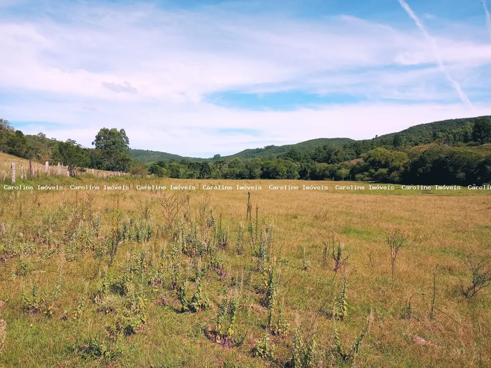 Fazenda, 63 hectares - Foto 6