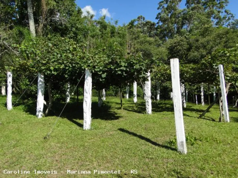 Fazenda, 63 hectares - Foto 2