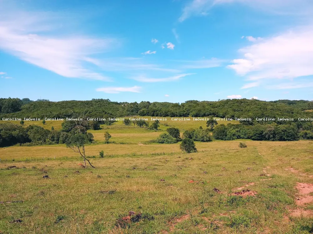 Fazenda, 63 hectares - Foto 8