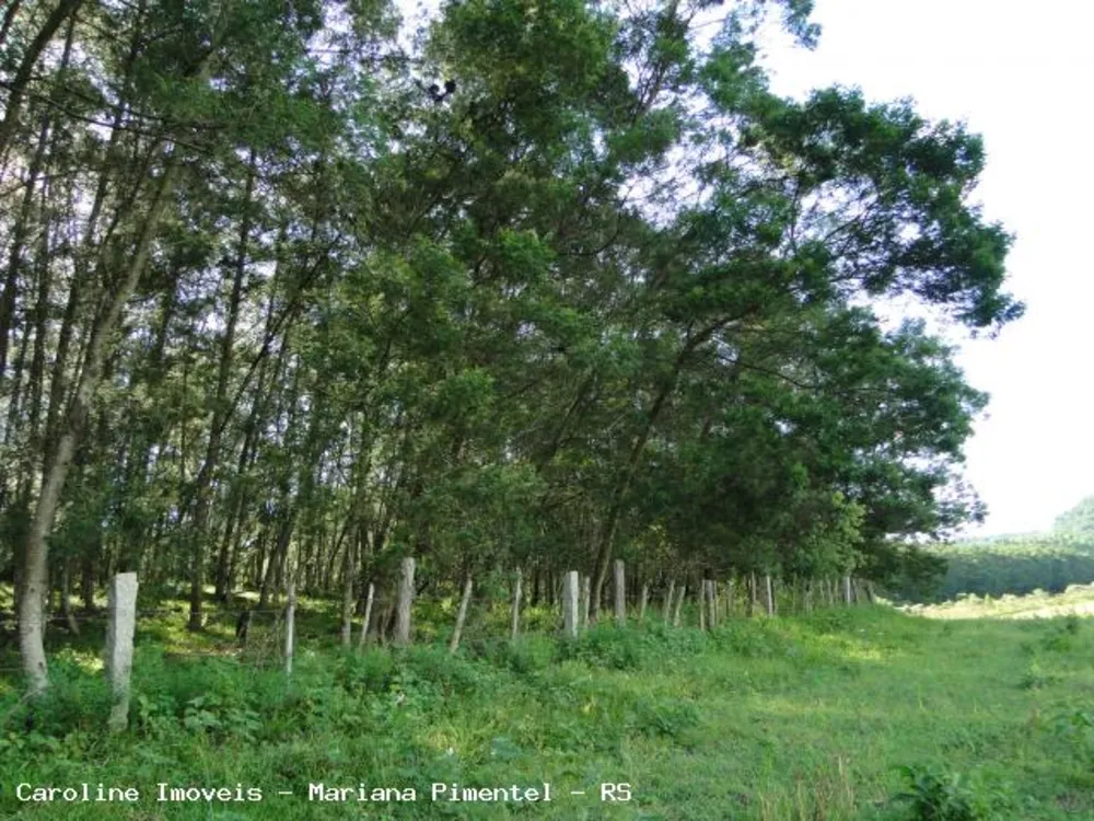 Fazenda, 63 hectares - Foto 5