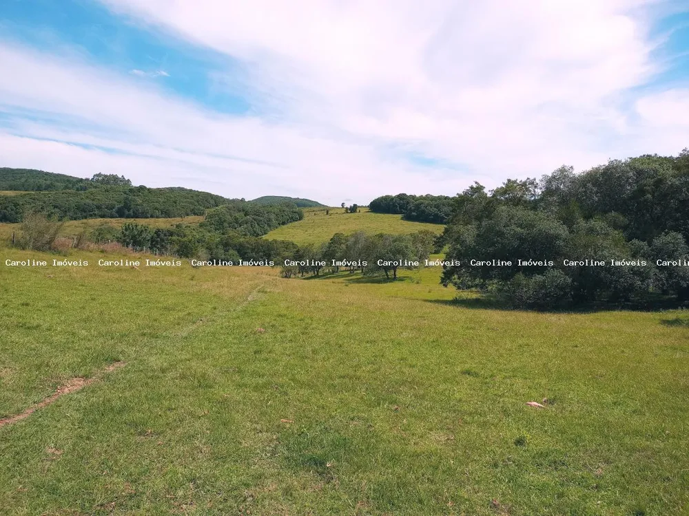 Fazenda, 63 hectares - Foto 6