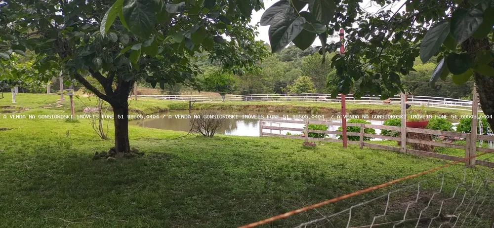 Sítio, 4 quartos, 13 hectares - Foto 6