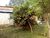 Sítio, 1 quarto, 3 hectares - Foto 1