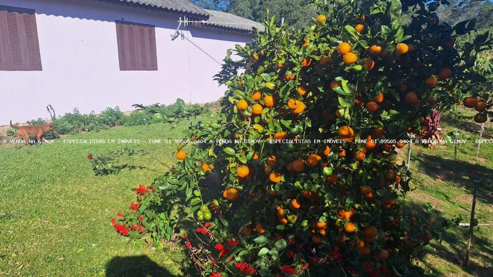 Sítio, 4 quartos, 5 hectares - Foto 4