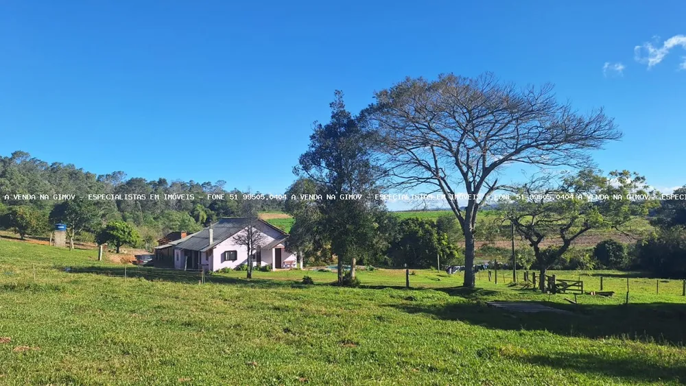 Sítio, 4 quartos, 5 hectares - Foto 4