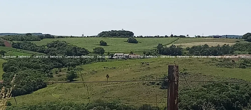 Sítio, 4 quartos, 5 hectares - Foto 10