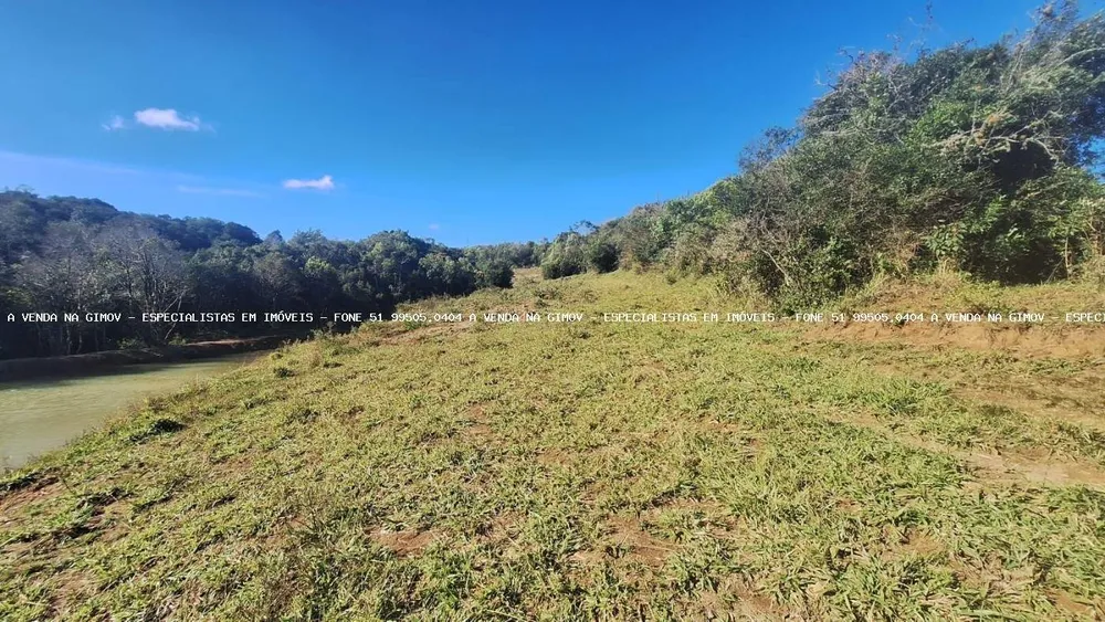 Sítio, 4 quartos, 5 hectares - Foto 1