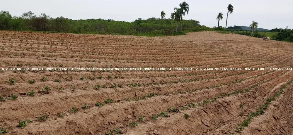 Loteamento e Condomínio, 30 hectares - Foto 1