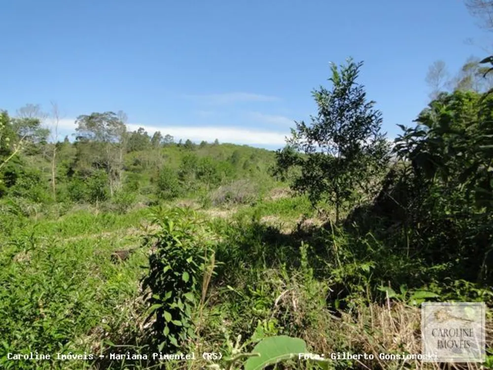 Loteamento e Condomínio, 32 hectares - Foto 10