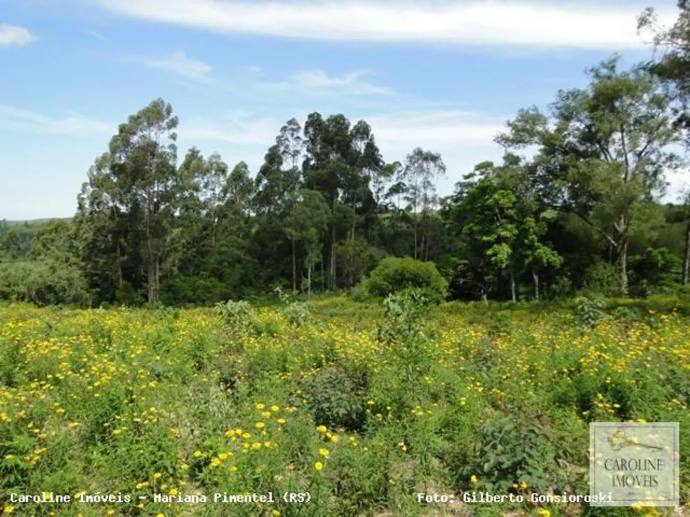 Loteamento e Condomínio, 32 hectares - Foto 1