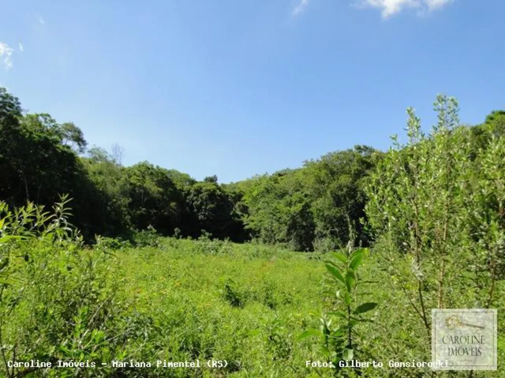 Loteamento e Condomínio, 32 hectares - Foto 4