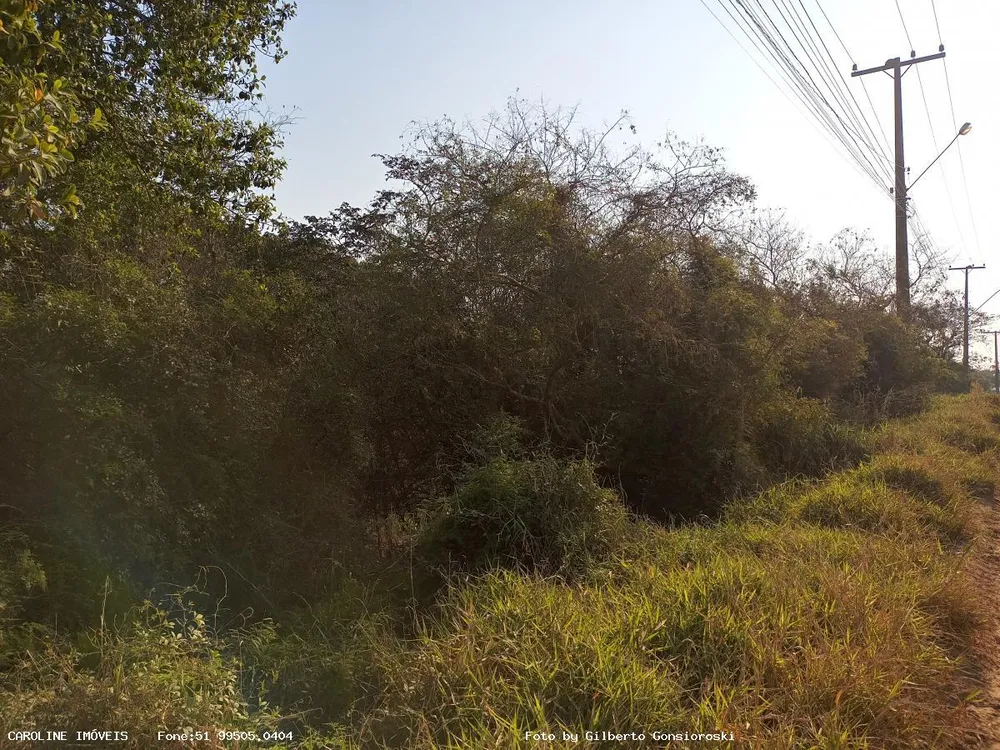 Loteamento e Condomínio, 5 hectares - Foto 4