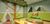 Terreno, 160 m² - Foto 9