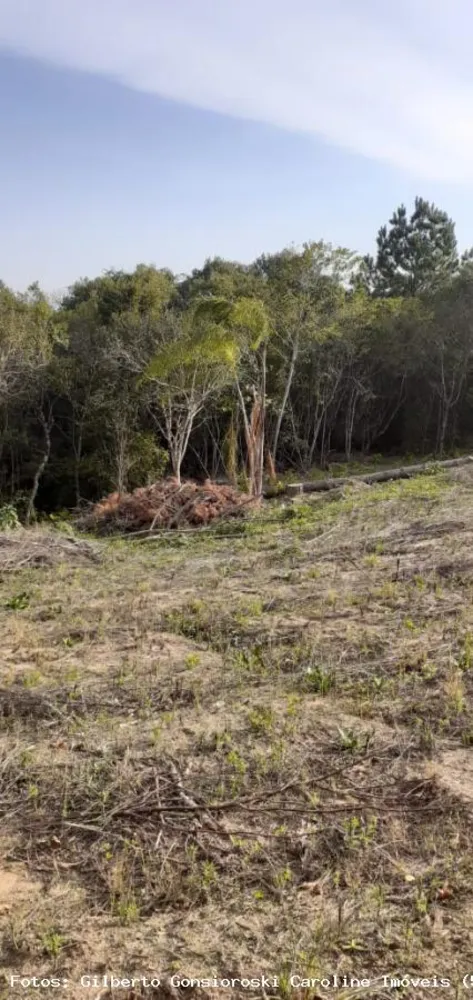 Loteamento e Condomínio, 5 hectares - Foto 9