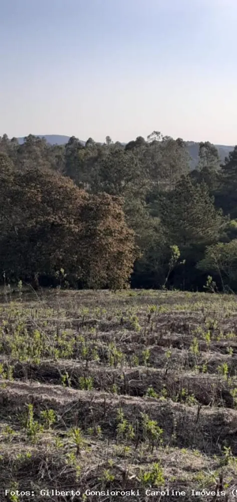 Loteamento e Condomínio, 5 hectares - Foto 11