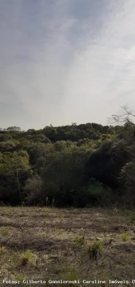 Loteamento e Condomínio, 5 hectares - Foto 12