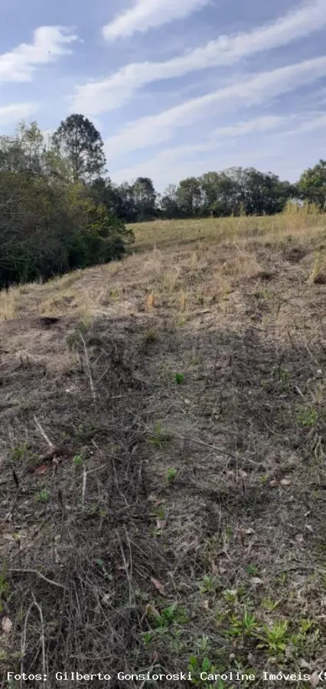 Loteamento e Condomínio, 5 hectares - Foto 8