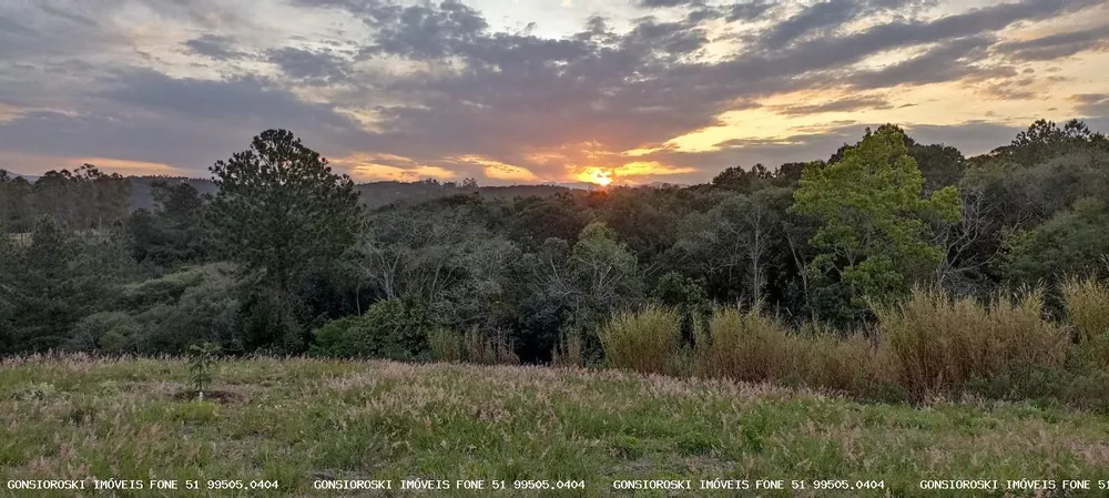 Loteamento e Condomínio, 5 hectares - Foto 4