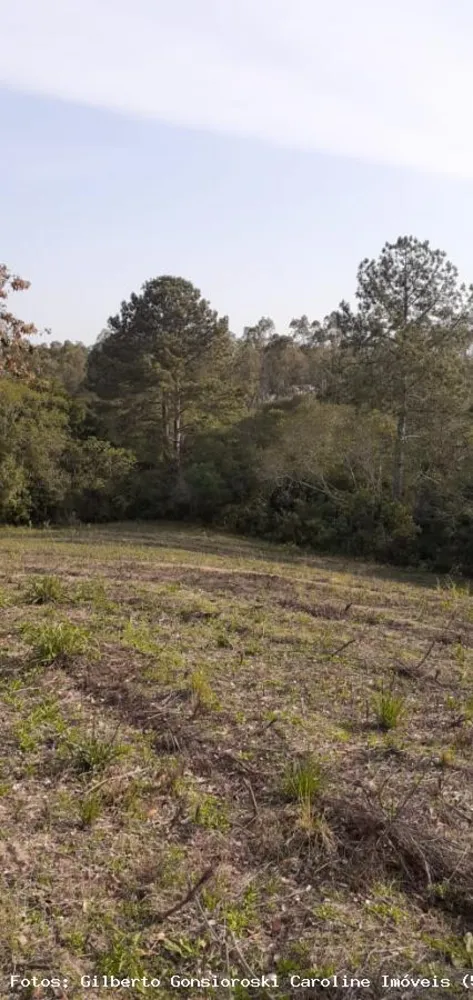 Loteamento e Condomínio, 5 hectares - Foto 10