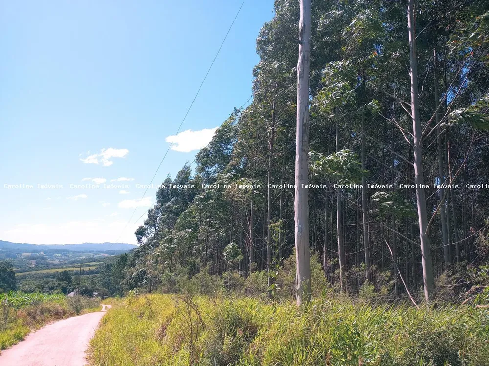 Loteamento e Condomínio, 3 hectares - Foto 2