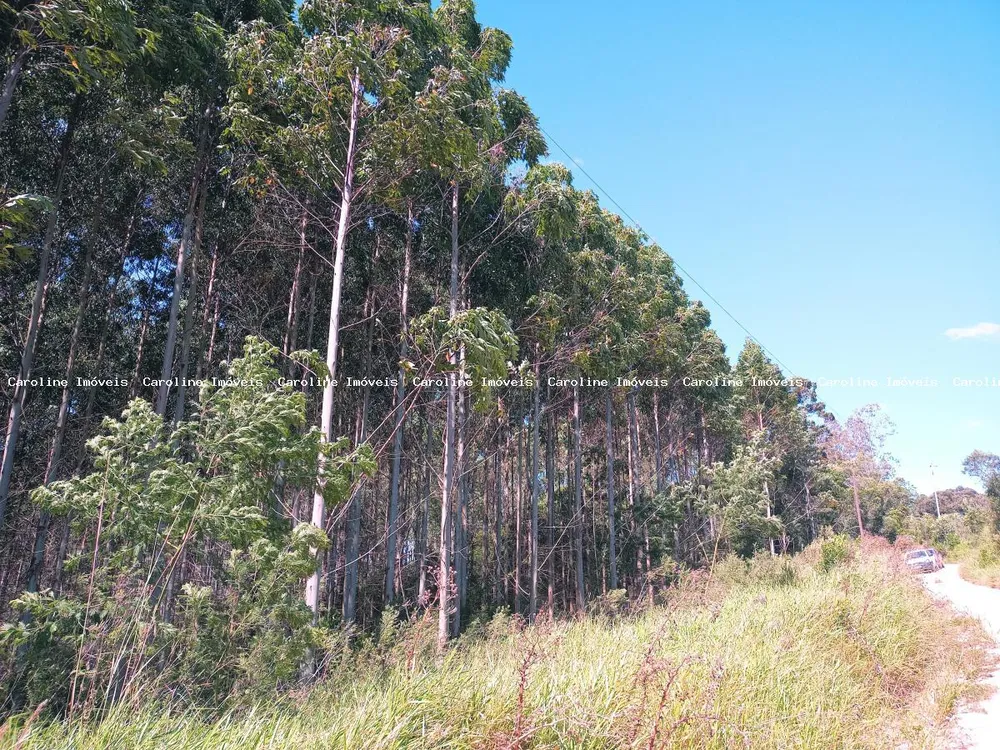 Loteamento e Condomínio, 3 hectares - Foto 3