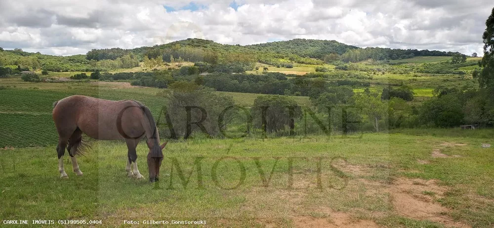 Fazenda à venda, 213000m² - Foto 12